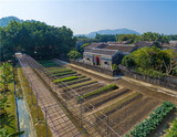 文章附图